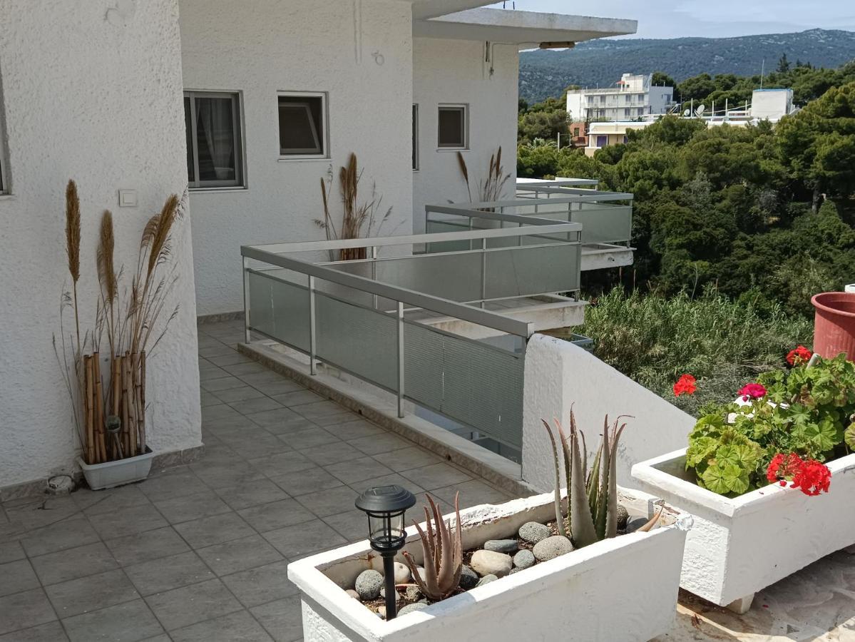 Meltemi Apartments Agia Marina  Eksteriør bilde